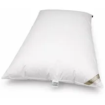 Betten Hofmann Bella Star Oberbett Federbett Ballonbett Winterbett 155x220 cm 3000 g warm