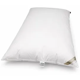 Betten Hofmann Bella Star Oberbett Federbett Ballonbett Winterbett 155x220 cm 3000 g warm