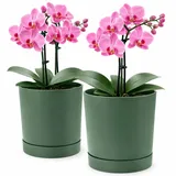 Blumentopf matt, Pflanzkübel aus Übertopf Kunststoff Dekorativer Topf für, gr...