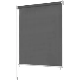 vidaXL Außenrollo 220 x 230 cm Anthrazit