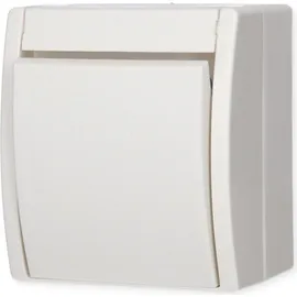 Busch-Jaeger Kreuzschalter 2601/7 W-54 Alpinweiß 1 St.