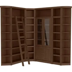Bibliothek HOME AFFAIRE "Soeren", braun (dunkelbraun), B:204cm H:220cm T:29cm, Massivholz, Regale, Aus Massiver Kiefer