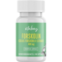 Vitabay Forskolin 400 mg Kapseln 90 St.