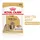 Royal Canin Shih Tzu 12 x 85 g