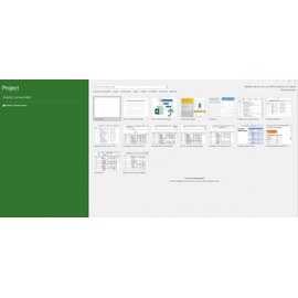 Microsoft Project 2019 Professional ESD