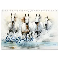 Calvendo Kraftpakete in Aquarell (Wandkalender 2026 DIN A4 quer),