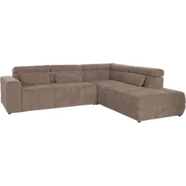DOMO collection Eckcouch Leder 2-Sitzer Braun