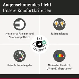 Paulmann LED Stiftsockellampe 28821 3,5W GY6,35 warmweiß 1 St.
