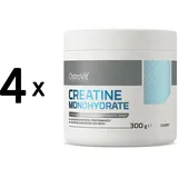 Ostrovit Creatine Monohydrate - flavoured (300g) Cherry