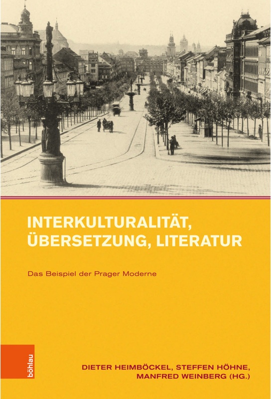 Interkulturalität  Übersetzung  Literatur  Gebunden