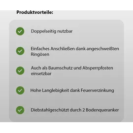 Baumarktplus Fahrradständer 2er Set Typ U 114 x 78 cm Ø 49 mm grau