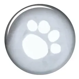 Trixie Regenmantel Tarbes S: 38 cm