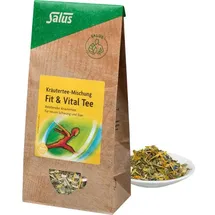 SALUS Fit & Vital Tee Früchte-Kräutertee bio Salus