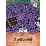 Sperli Blaukissensamen SPERLI's Azurro