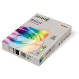 MAESTRO COLOR Kopierpapier A4, 160g 250BL grau MAESTRO® color, 9417-GR21A16S