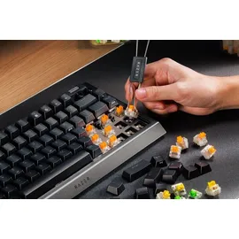 Razer BlackWidow V4 75% hot-swap, Razer ORANGE Tactile Gen-3, USB, EN (RZ03-05000400-R3E1)