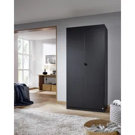Rauch Drehtürenschrank »Ontario«, Metallgriffstück in Graumetallic, grau