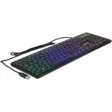 DeLock USB Keyboard schwarz LEDs RGB, USB, DE (12625)