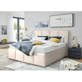 Halmon Schlafkomfort Betten Dalas 160 x 200 cm Beige