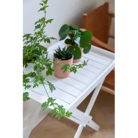 Cinas Tabletttisch Tray Table