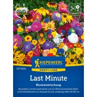 Kiepenkerl Blumensamen Last Minute', 2 bis 4 m2