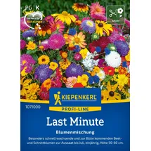 Kiepenkerl Blumensamen Last Minute', 2 bis 4 m2