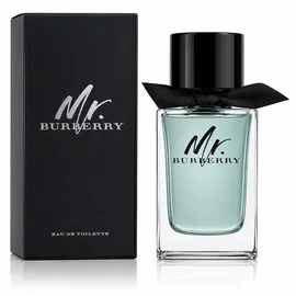 Burberry Mr. Burberry Eau de Toilette 100 ml