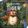 Kosmos Der achtsame Tiger Familienspiel deutsche Version
