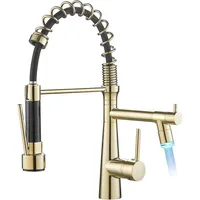 Luxuskollektion Küchenarmatur Gold