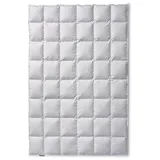 Kauffmann Eiderdaunendecke warm - 155x200cm