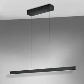 Knapstein LINDA 1-flg. 52 W 112 mm rund Schwarz