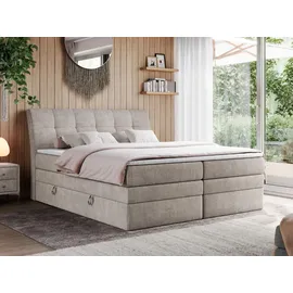 MKS Gold-10 King 180 x 200 cm H3 Beige