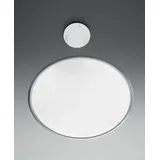 Artemide Discovery Sospensione (1999010A)