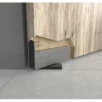 Argenta Türband Pivotica Pro e fm, max. Türgewicht 100kg,Türstärke