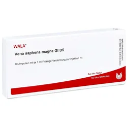Vena Saphena magna Gl D5 Ampullen