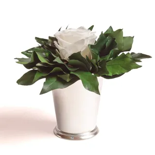 ROSEMARIE SCHULZ Heidelberg Infinity Blume in silberfarbenen Becher ewige Rose konserviert Blumenstrauß langhaltend (Weiss, 1 Rose)