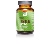 Infla Green – Bio Kurkuma Kapseln mit Ingwer, MSM und Piperin, Bromelain & Zink – Vegan, ohne Zusätze – 120 Kapseln für 3-4 Wochen