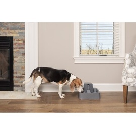 PetSafe Trinkbrunnen 3,7 l