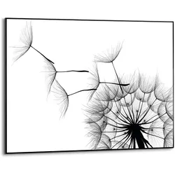 Reinders Wandbild 70 x 50 cm Dandelion Holz Schwarz