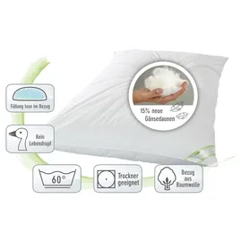 franknatur Ballonbett 135x200 Winterdecke 15% Gänsedaunen 2600g - Bettdecke Winter