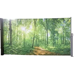 Seitenmarkise Motiv Waldlichtung grau 160x300 Markise Seite Balkon Sichtschutz