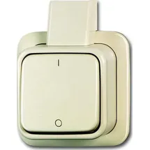 Busch-Jaeger Ausschalter 2-pol. 2601/2 AP