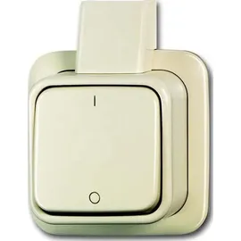 Busch-Jaeger Ausschalter 2-pol. 2601/2 AP