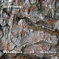 Wahndreieck - Musik & Poesie als Hörbuch CD von Jörn Pfennig