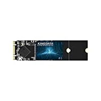 KINGDATA SSD M.2 2280 256GB Ngff internes Solid State Drive 1TB 500gb 250gb 120gb für Desktop-Laptops SATA III 6 Gb/s Hochleistungs Festplatte(256GB,M.2 2280)