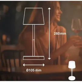 Briloner LED Tischlampe Piha