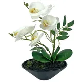 NTK-Collection Orchideen-Bonsai 28 cm Orchideen-Bonsai 28 cm