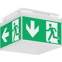 RZB LED-Notl.Deckenleuchte 672291.002