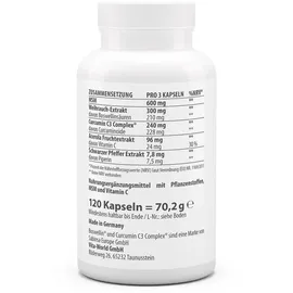 VITA-WORLD Weihrauch + Curcuma Kapseln 120 St.
