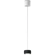 Oligo Grace Pendelleuchte LED 1-flg.